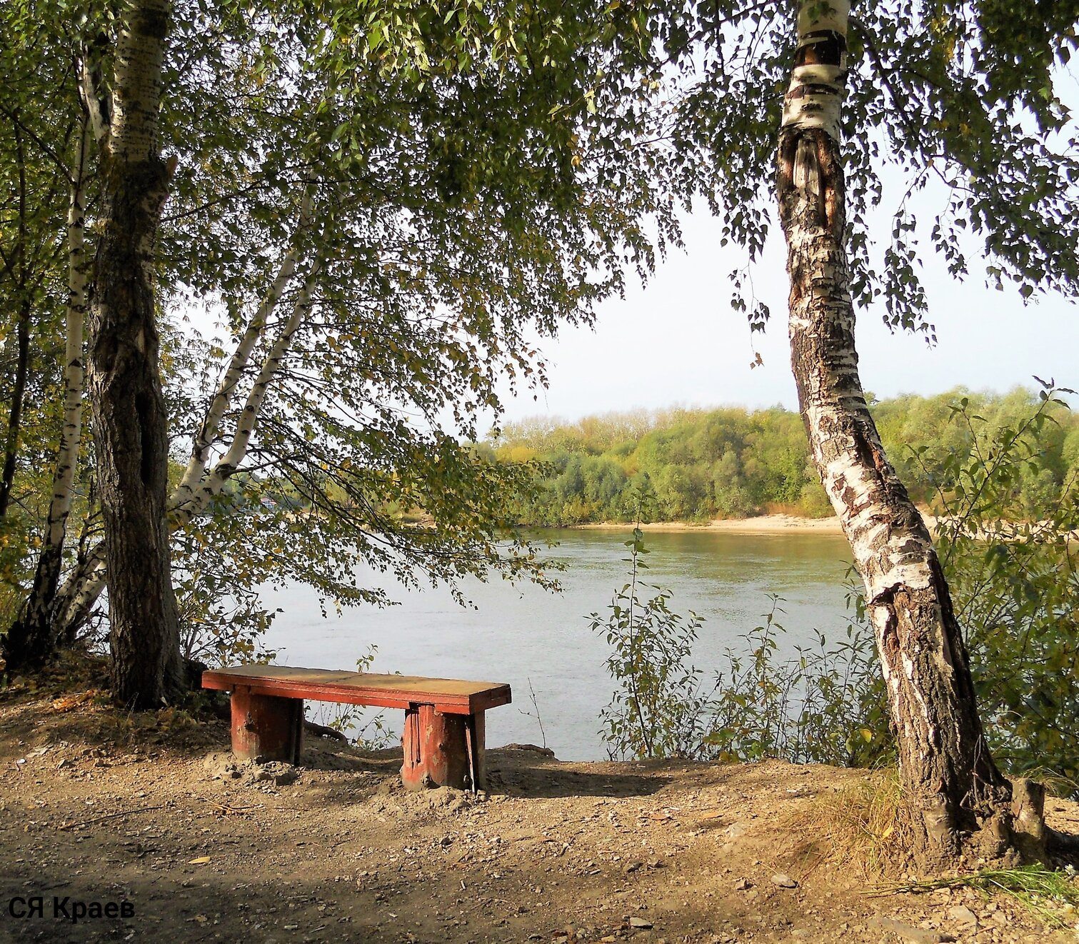 Озеро ласковое Рязань